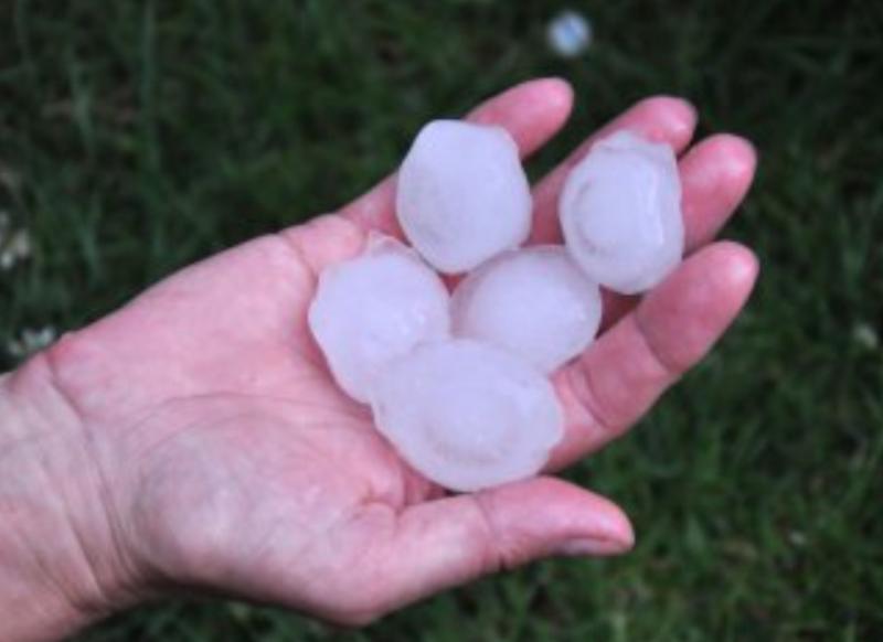 Град, ветер и падающие деревья: стихия ударила по Подмосковью и Ярославлю   | В Подмосковье и Ярославле двое детей пострадали из-за урагана  