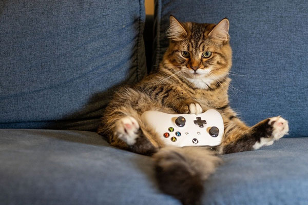 Не лень, а высокий IQ: почему развитый интеллект заставляет вас чаще отдыхать