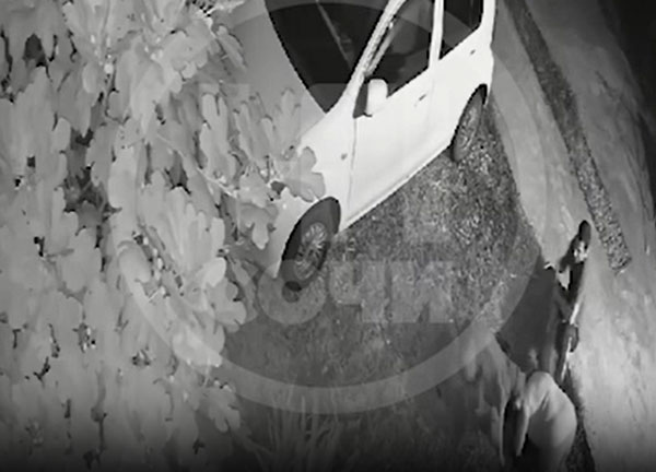 В Сочи ищут мужчину, бойцовые собаки которого напали на женщину с маленьким псом