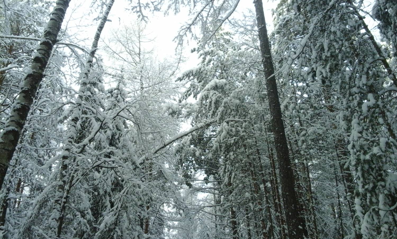 В Екатеринбург идет кратковременное потепление
