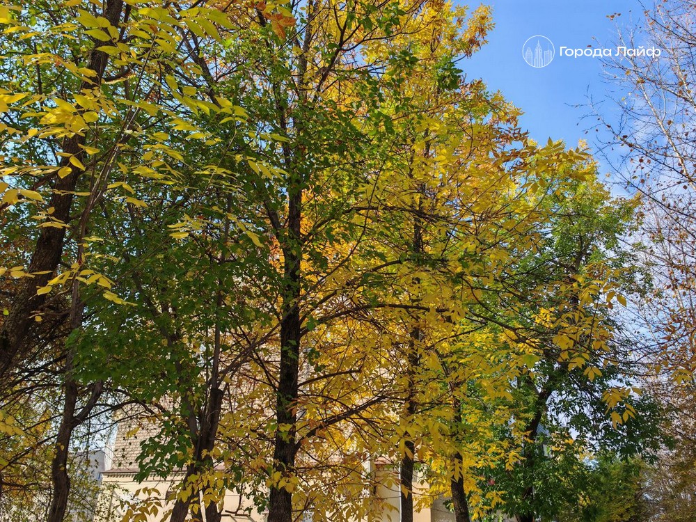 День Трифона и Пелагеи: что нельзя делать 21 октября, чтобы не накликать беду | 21 октября — день Трифона и Пелагеи
