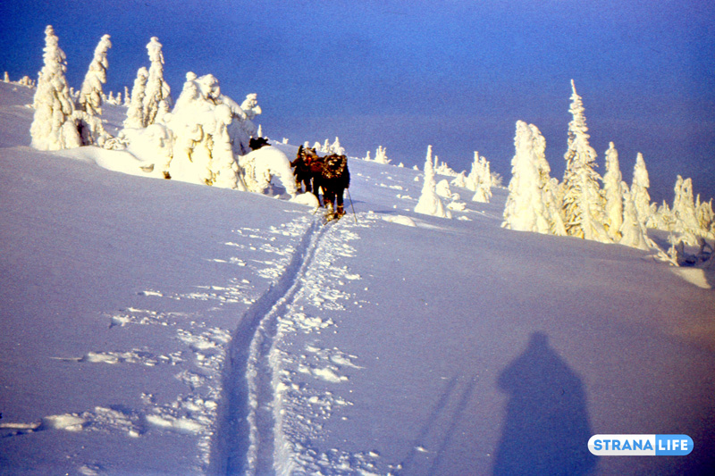 «Сильный ветер смел нас с хребта…»