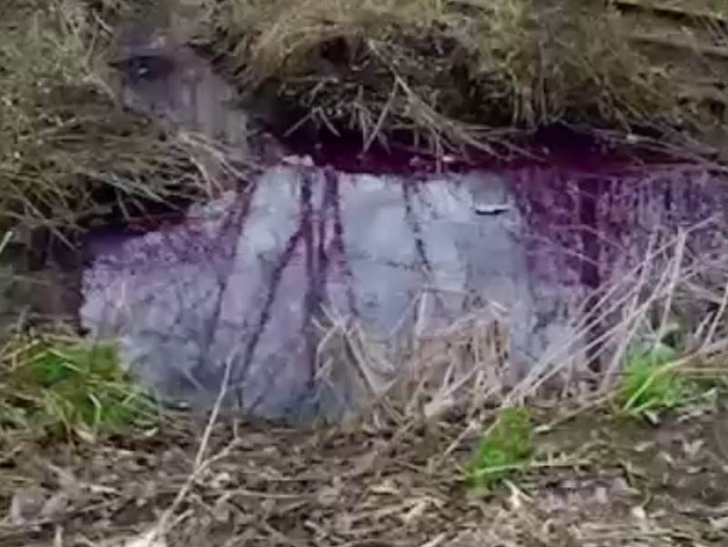 Озеро борща: улицы Златоуста утопают в свекольном бульоне. Видео | Златоуст в Челябинской области затопило борщом