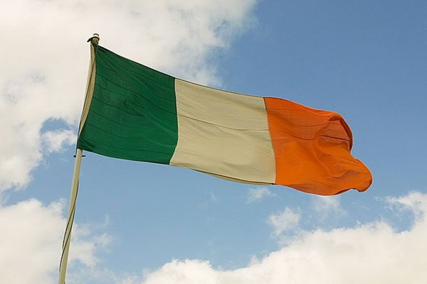 Ирландия хочет отменить закон о «месте женщины на кухне»