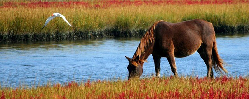 Угроза уничтожения национального парка «Самарская Лука» стала реальной