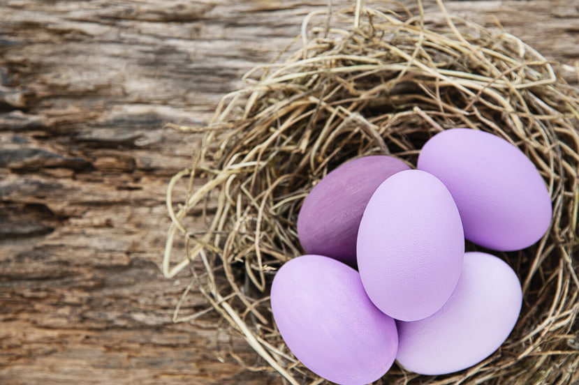 Делаю трендовые лавандовые яйца на Пасху: простой способ окрашивания натуральными средствами - это точно будет шедевр