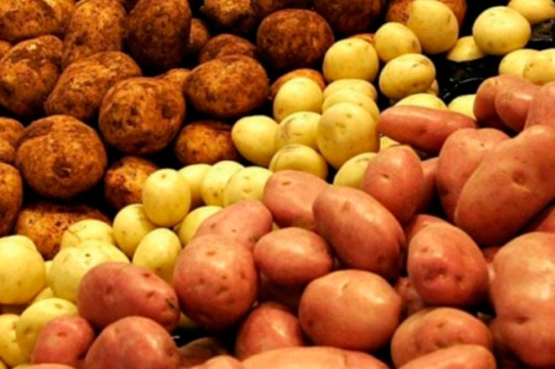 Диетолог назвала продукты, которые нужно есть осенью для здоровья | Диетолог Джутова: осенью для здоровья нужно есть тыкву, свеклу и капусту