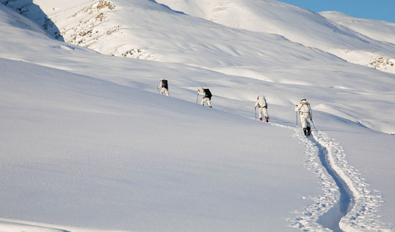 Вице-спикер Гренландии о возможной продаже острова США: это недопустимо | Власти Гренландии ответили на заявления Трампа о продаже острова