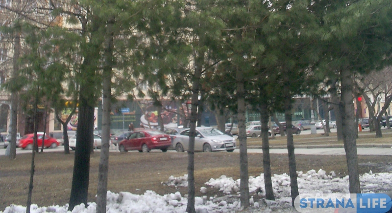 «Лес Победы» в честь юбилея