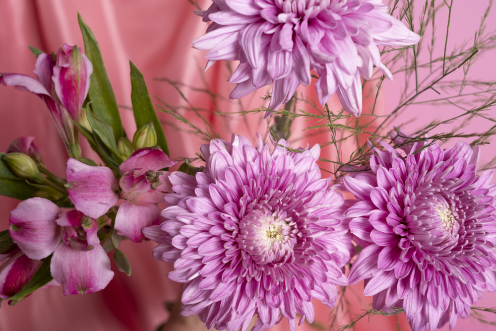 Магазин, отказавший мальчику в цветах к 8 Марта, извинился и подарил семье два букета | Магазин извинился перед мальчиком за отказ продать цветы к 8 Марта