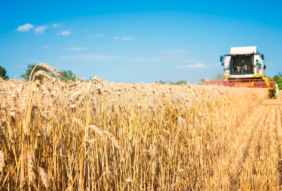 МИД России сообщил о продлении зерновой сделки на 60 дней