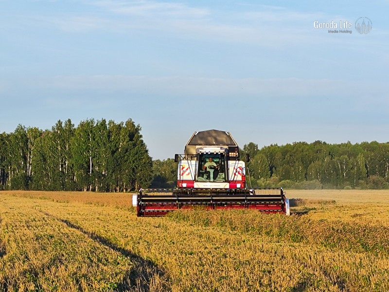 Кабмин должен будет разработать меры поддержки для аграриев, заявлено в поручении Владимира Путина | Путин поручил правительству поддержать российских аграриев