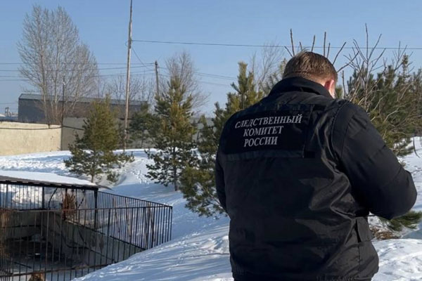 «Убийство ради наследства»: бывшего мэра Самары Виктора Тархова и его жену забили до смерти и законсервировали в бочках | СМИ: тела убитых экс-мэра Самары и его жены пролежали в бочках целый месяц