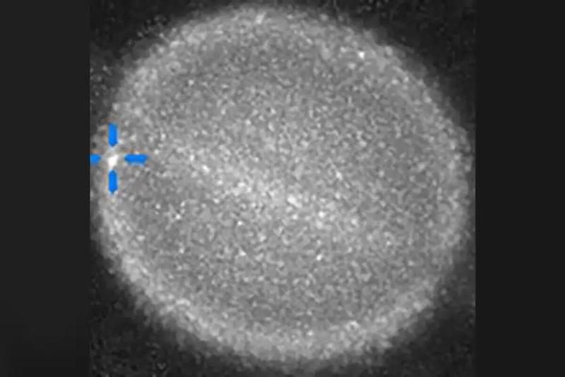 Астроном-любитель запечатлел первое в истории столкновение космического объекта с Сатурном | Астроном Марио Рана запечатлел столкновение с Сатурном