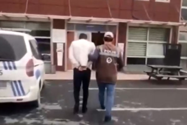 В Турции убившего кота мужчину посадили на 2,5 года