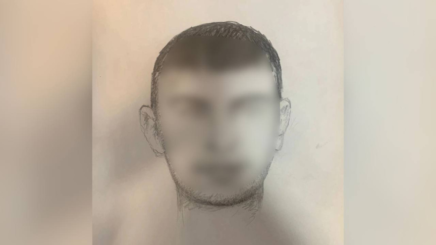 В Воронеже распространили ориентировку на мужчину, пристававшего к 9-летней девочке